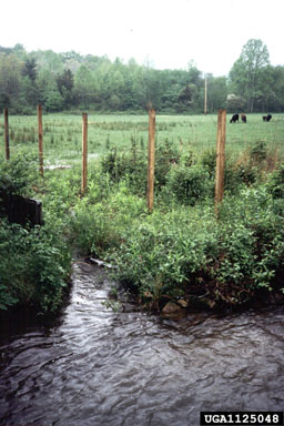 water pollution,    - 1125048