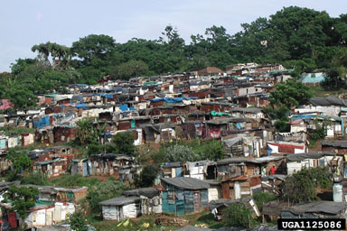 villages,    - 1125086