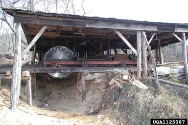 sawmill,    - 1125087