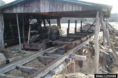 sawmill,    - 1125088