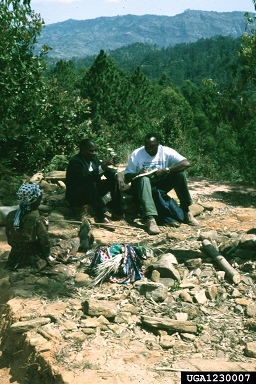 Eastern Arc Mountains,    (Mountains: Eastern Arc Mountains) - 1230007