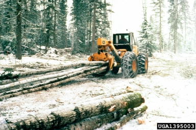 skidding,    - 1395003