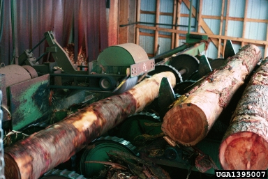 debarking,    - 1395007