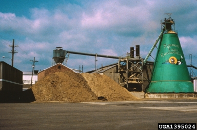 processing/manufacturing,    - 1395024