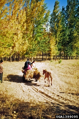 people,    - 1399095