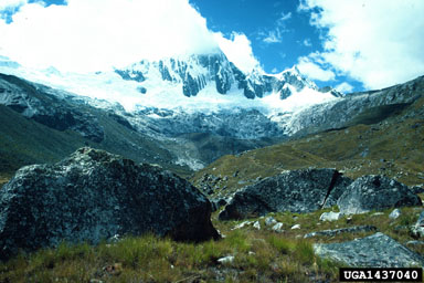 Andes Mountains,    (Mountains: Andes Mountains) - 1437040