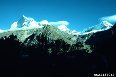 Cordillera Blanca, Cordillera Blanca   (Mountains: Andes Mountains) - 1437042