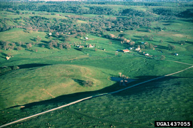 pasture,    - 1437055