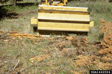 mechanical,    (Abiotic: Other abiotic damage) - 1442004