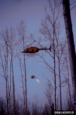 fire,    - 1450010