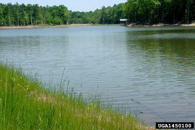 lakes and ponds,    (Freshwater biomes: Miscellaneous Lakes and Ponds) - 1450100