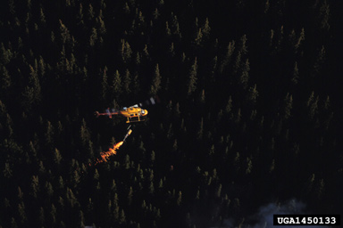 fire,    - 1450133