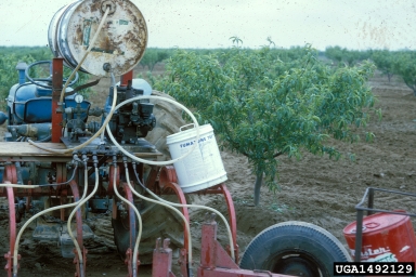 pesticides on peach (Prunus persica ) - 1492129