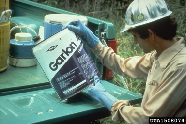 pesticide safety,    - 1508074