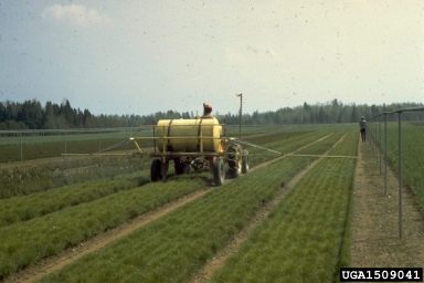 pesticides,    - 1509041