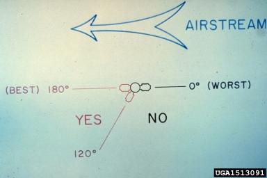 pesticides,    - 1513091