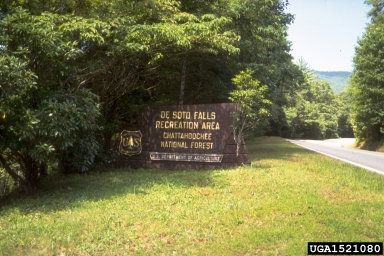 Chattahoochee National Forest,    (National Forest: Chattahoochee National Forest) - 1521080