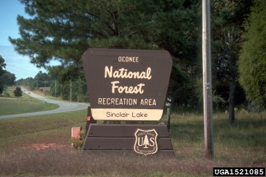 Oconee National Forest,    (National Forest: Oconee National Forest) - 1521085
