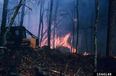 fire,    - 1546148