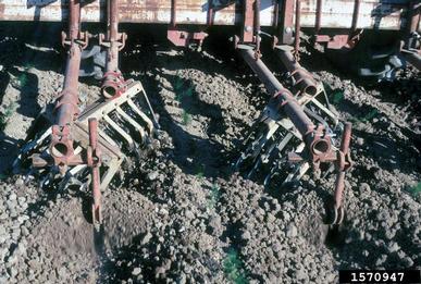 cultivation,    - 1570947
