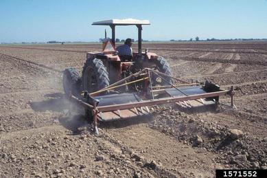 field preparation,    - 1571552