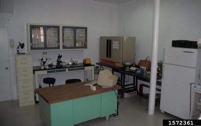 laboratory,    - 1572361