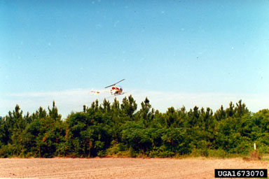herbicides (general),    (General herbicides: General Herbicides) - 1673070