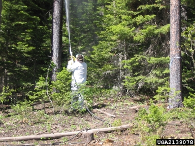 pesticides,    - 2139078