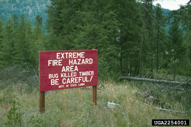 fire,    - 2254001