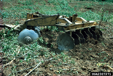 ripping/furrowing/bedding,    - 2307271