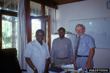 Tanzania,    - 3970004