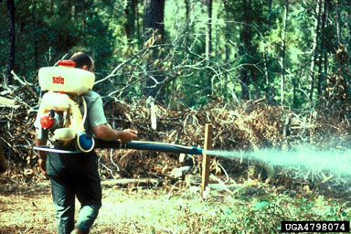 herbicides (general),    (General herbicides: General Herbicides) - 4798074