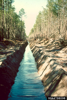 drainage,    - 4798098