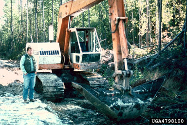 drainage,    - 4798100