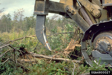 mechanical,    (Abiotic: Other abiotic damage) - 4800027