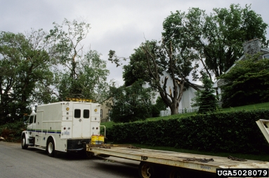 storm damage (general),    - 5028079