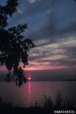 lakes and ponds,    (Freshwater biomes: Miscellaneous Lakes and Ponds) - 5045031