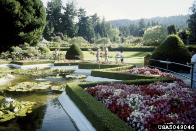 gardens,    - 5049046