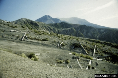volcanoes,    (Volcano: Misc volcano) - 5056001