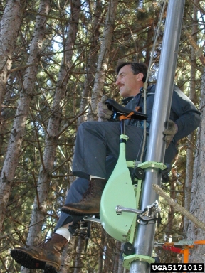 pruning (general),    - 5171015