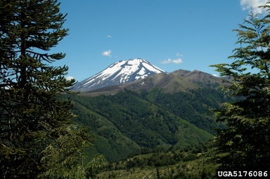 mountains,    (Mountains: Miscellaneous Mountains) - 5176086
