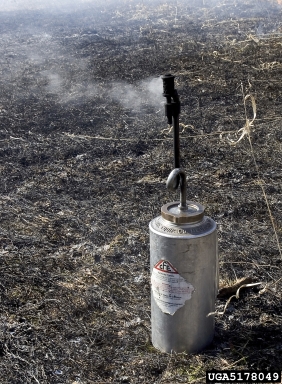prescribed fire,    - 5178049
