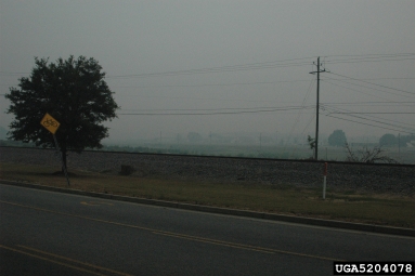 2007 Georgia wildfires,    - 5204078