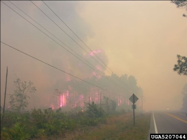 2007 Georgia wildfires,    - 5207044