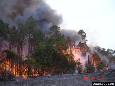 2007 Georgia wildfires,    - 5207100