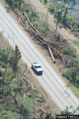 hurricane,    (Terrestrial weather: Storms) - 5279011