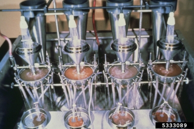 laboratory,    - 5333089