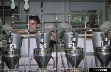 laboratory,    - 5333090