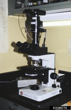 plant diagnostics,    - 5338070
