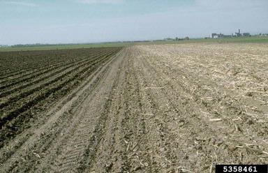 soil & water,    - 5358461